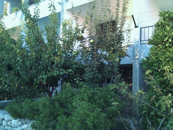 Apartmani Brusje – fotografija 4