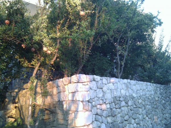 Apartmani Brusje – fotografija 5