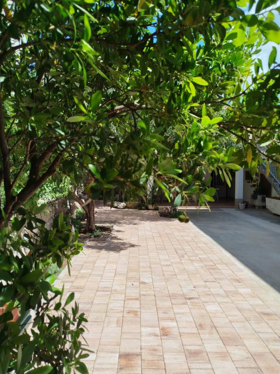 Apartmani Meić – fotografija 4