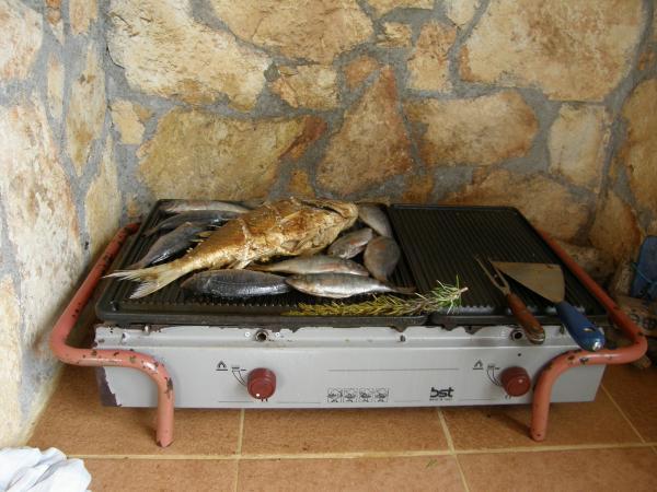 Kuća za odmor Darija – fotografija 6