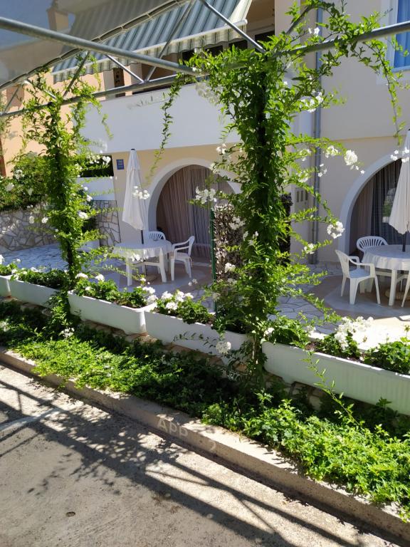 Apartmani Bijelić – fotografija 4