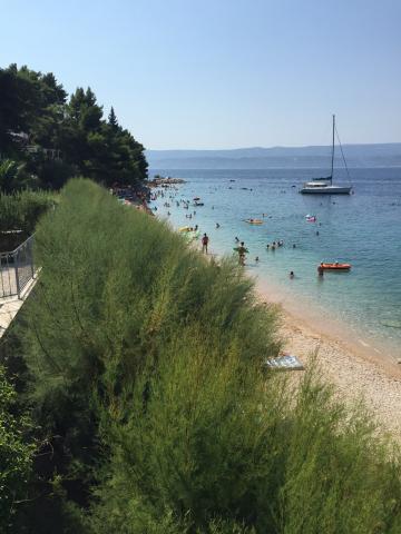 Apartmani Begić – fotografija 4