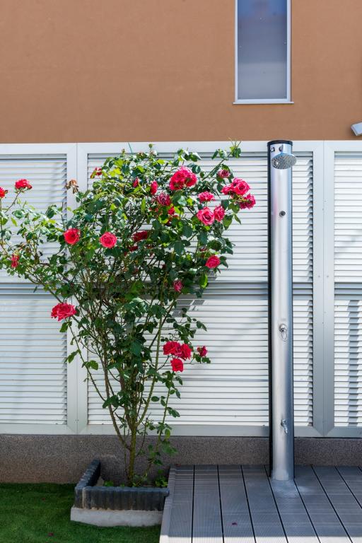 Apartmani Rodin – fotografija 6