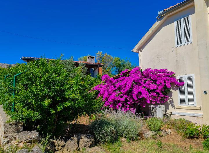 Kuća za odmor Branka – fotografija 2