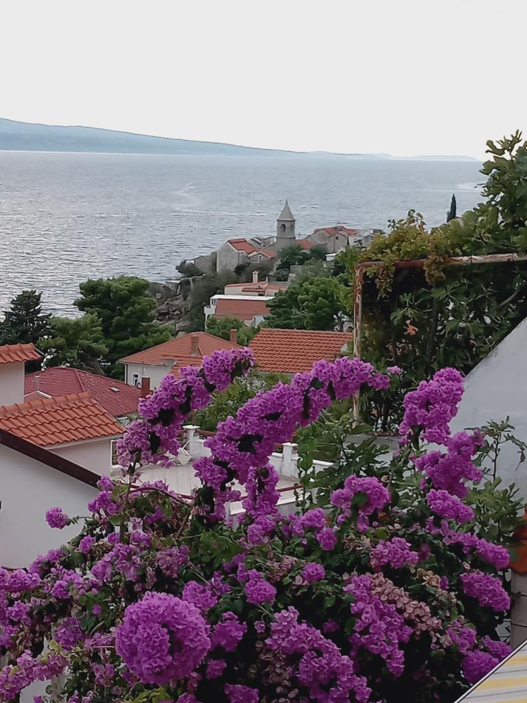 Apartmani Zora – fotografija 3