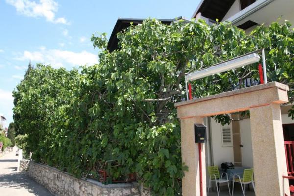 Apartmani Villa Tanja – fotografija 4