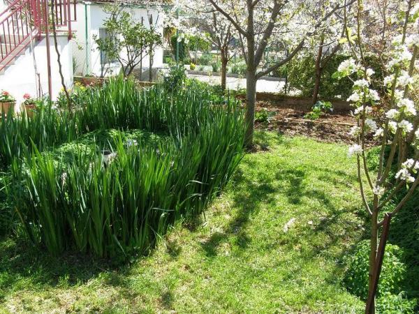 Apartmani Villa Tanja – fotografija 5