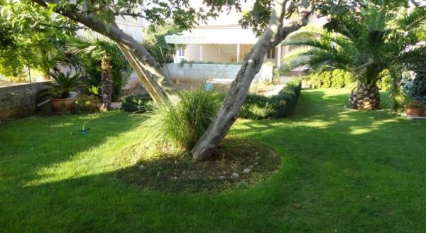 Apartmani Rusulica – fotografija 6