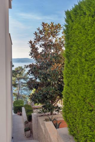 Apartmani Villa Dalmatia – fotografija 4