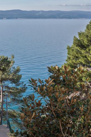 Apartmani Villa Dalmatia – fotografija 5