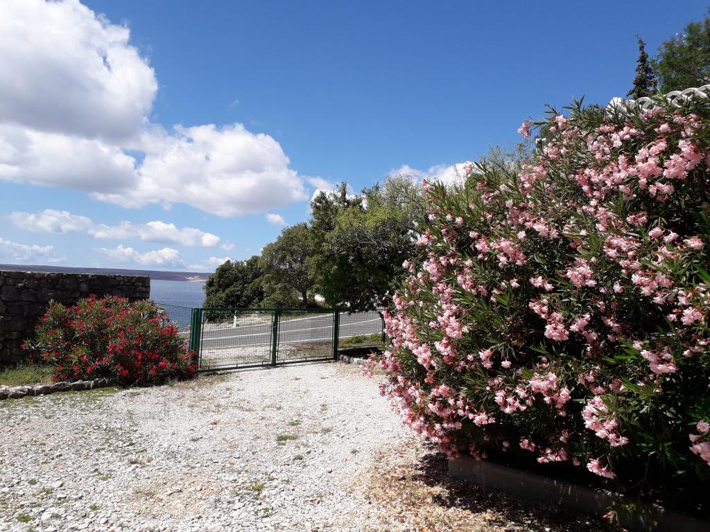 Kuća za odmor Beli – fotografija 4