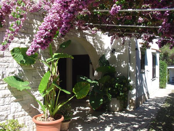 Apartmani Lumanera – fotografija 1