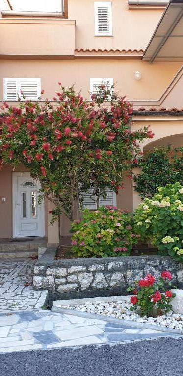 Apartmani Marija – fotografija 1