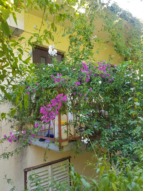 Apartmani Zenčić – fotografija 5
