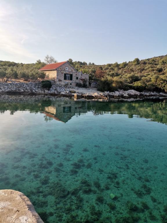 Kuća za odmor Tea – fotografija 3