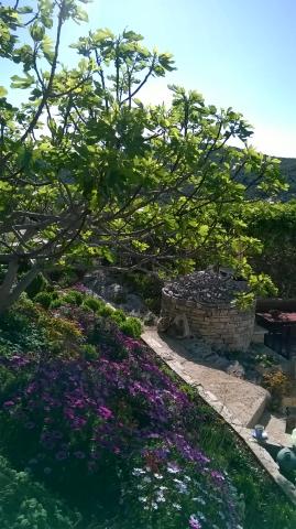 Apartmani Luka – fotografija 5