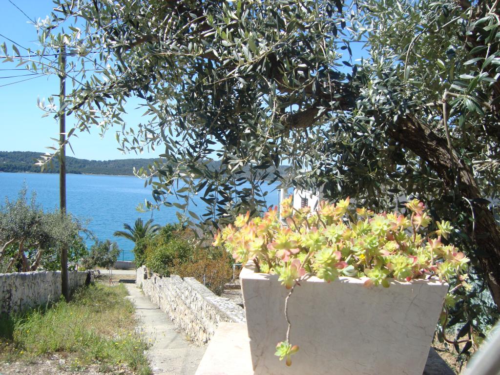 Apartman Boban – fotografija 4