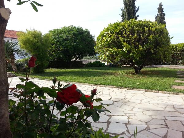 Apartmani Ivić – fotografija 5