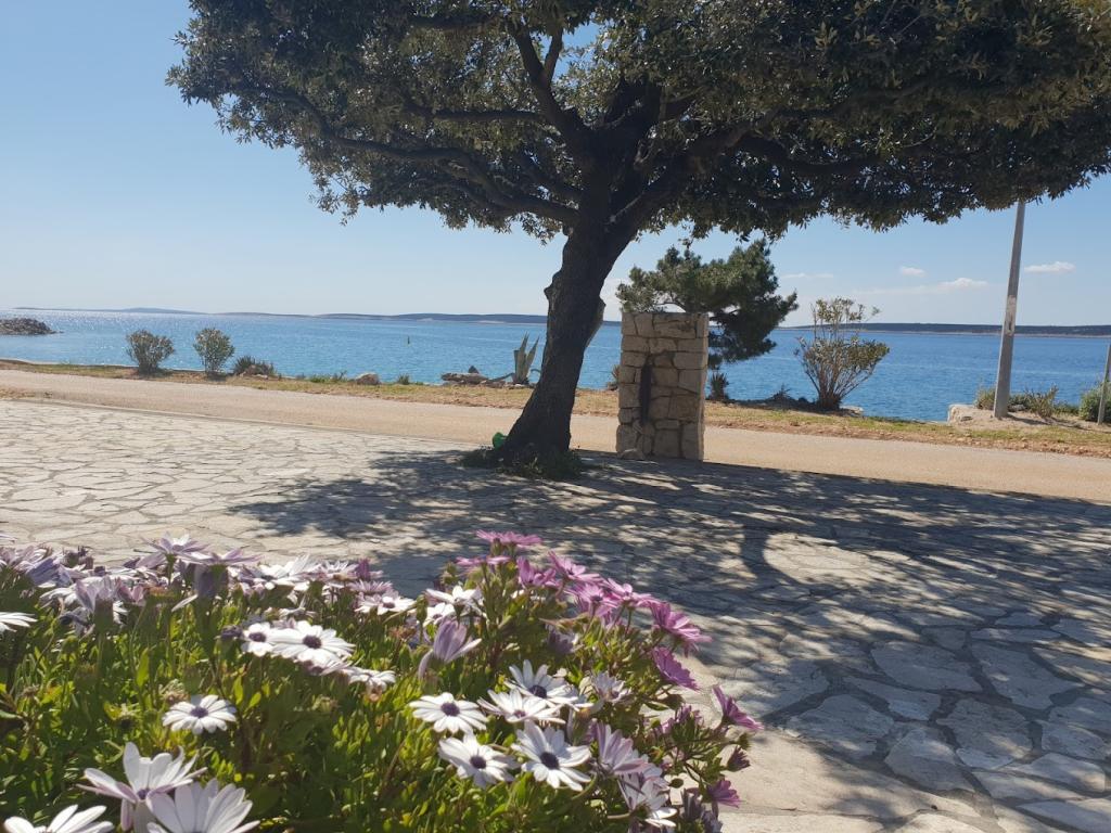 Apartmani Stargo – fotografija 6