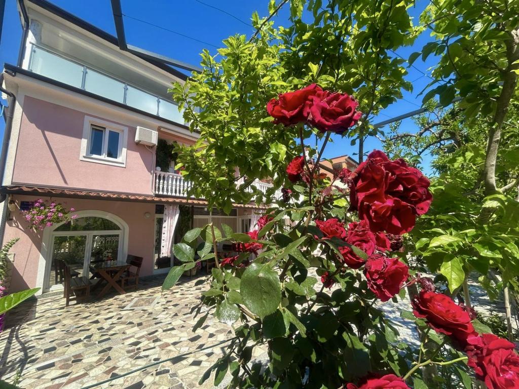 Apartmani Tereza – fotografija 1