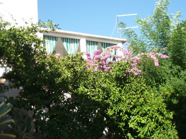 Apartman Bilas – fotografija 4