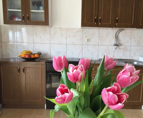 Apartman Ana – fotografija 6