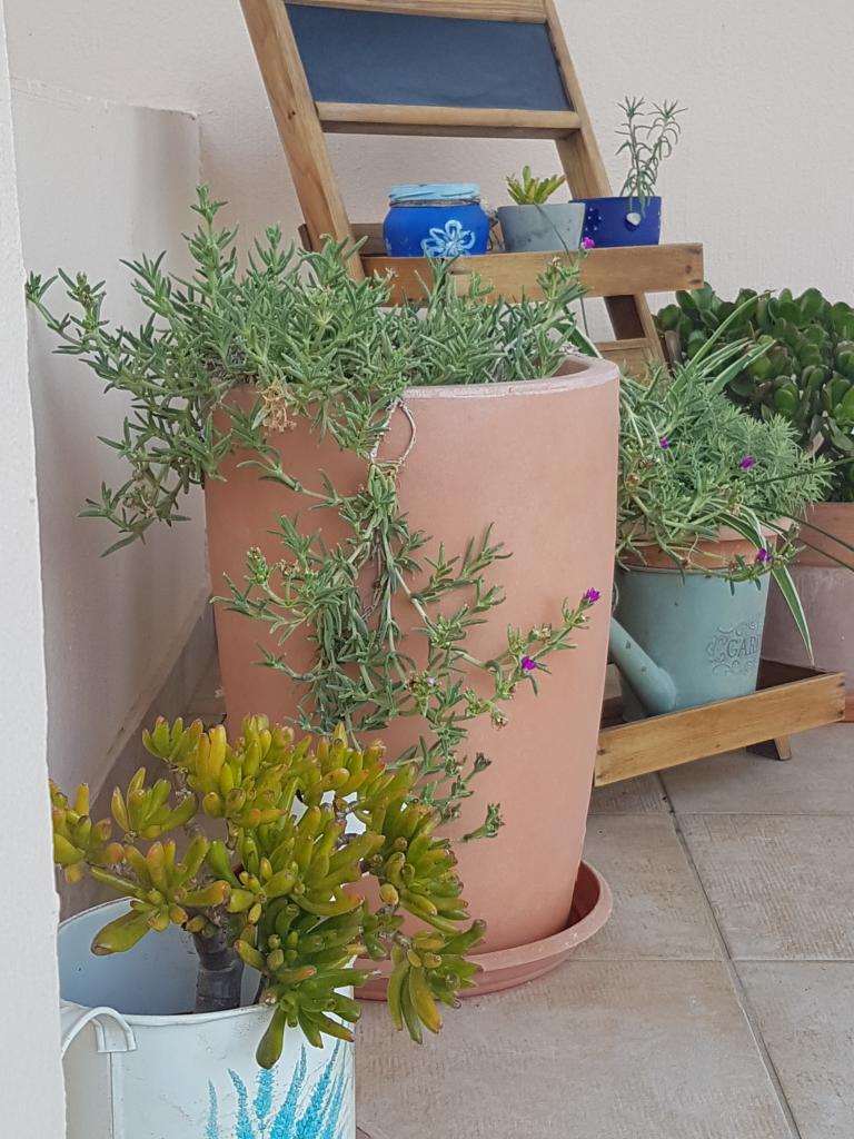 Kuća za odmor Salvia – fotografija 5