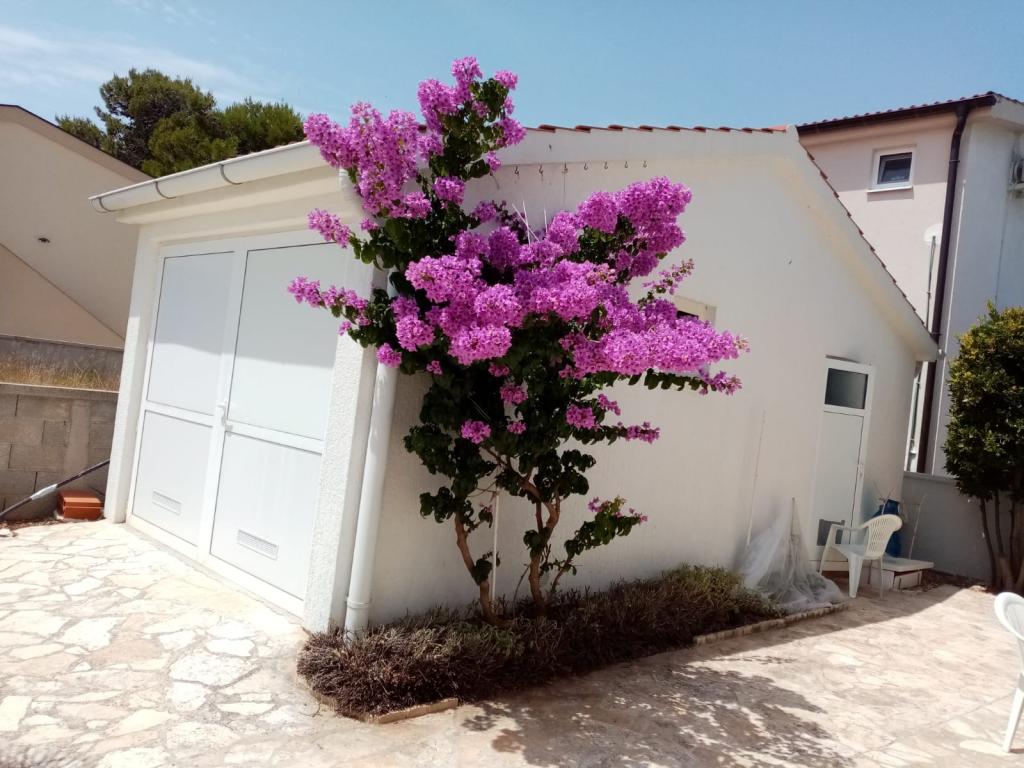 Apartmani Fegeš – fotografija 3