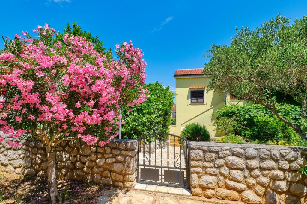 Apartmani Lucija – fotografija 4