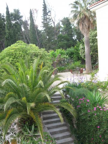 Apartmani Villa Gloria – fotografija 3