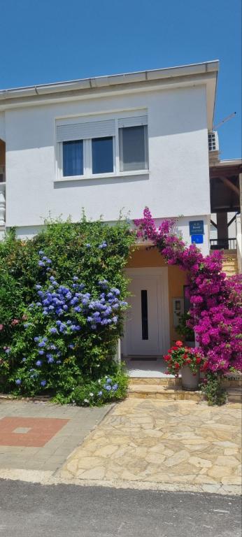 Apartman Maja – fotografija 2