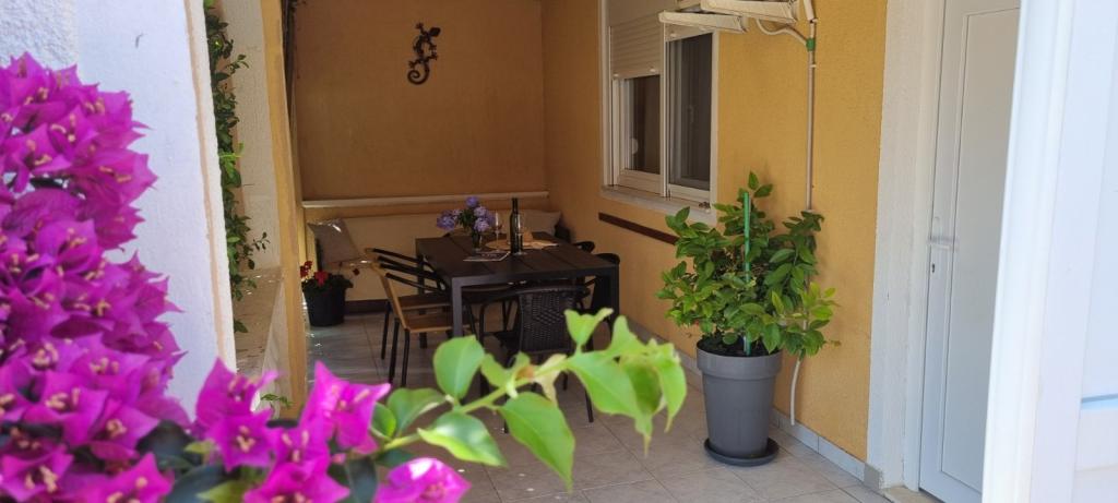 Apartman Maja – fotografija 3