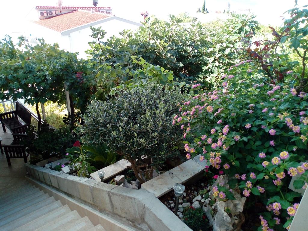 Apartmani Sidro – fotografija 6