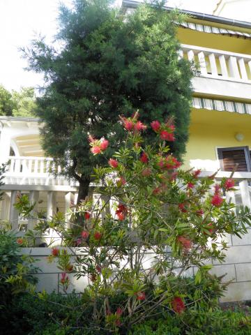 Apartmani Zoran – fotografija 6