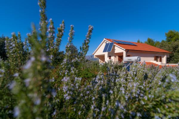 Apartmani Marko – fotografija 3