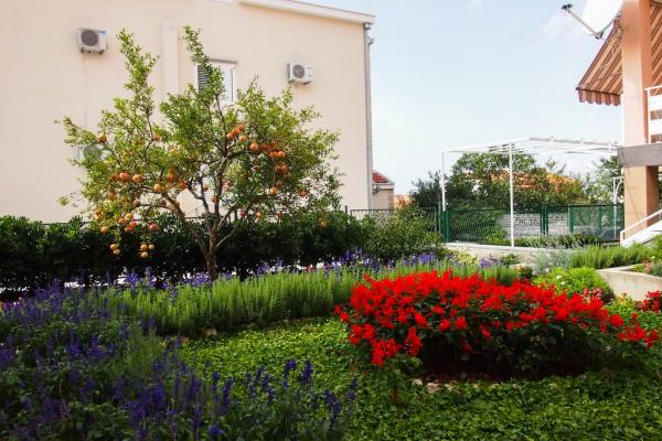 Apartmani Vrpolje – fotografija 2