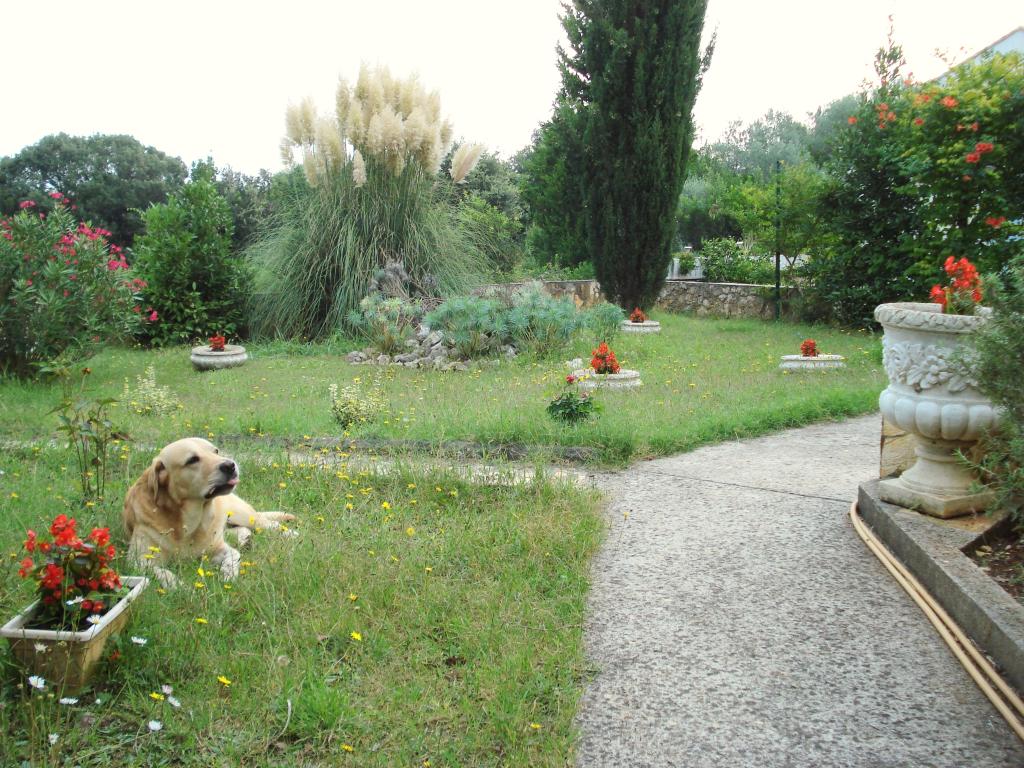 Apartman Melita – fotografija 4