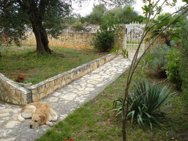 Apartman Melita – fotografija 6