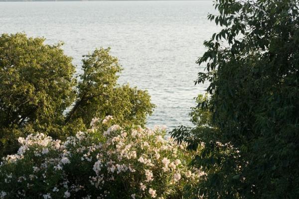 Apartman Eva – fotografija 6