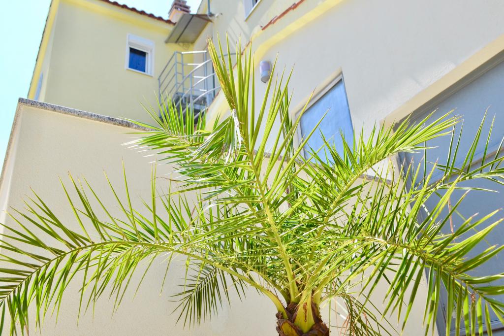 Apartmani Pax – fotografija 6