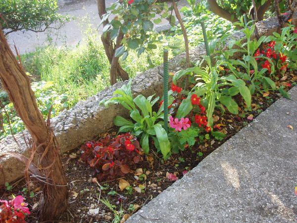 Apartmani Tiho – fotografija 6