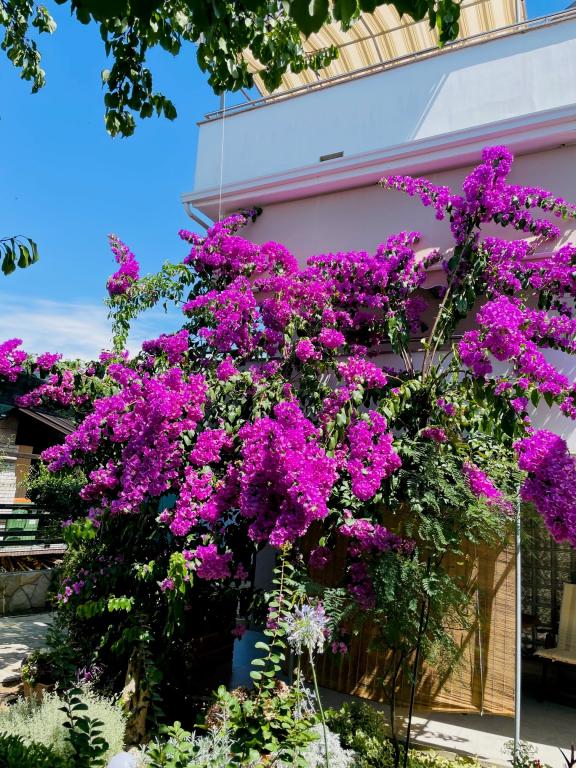 Apartmani Lucija – fotografija 2