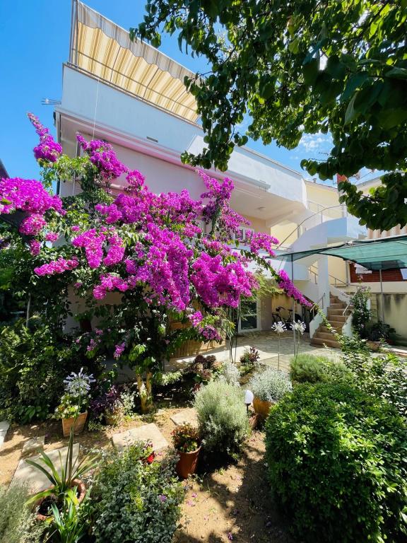 Apartmani Lucija – fotografija 3