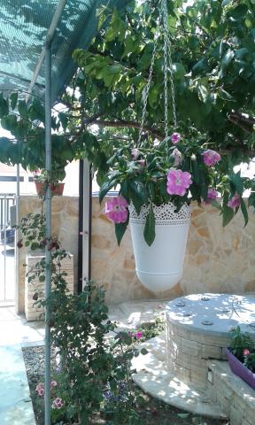 Apartmani Lucija – fotografija 5
