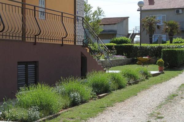 Apartman Suzy – fotografija 4