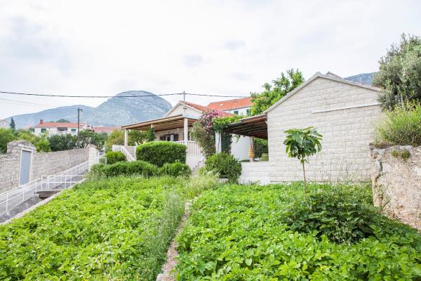 Apartmani Bodlović – fotografija 2