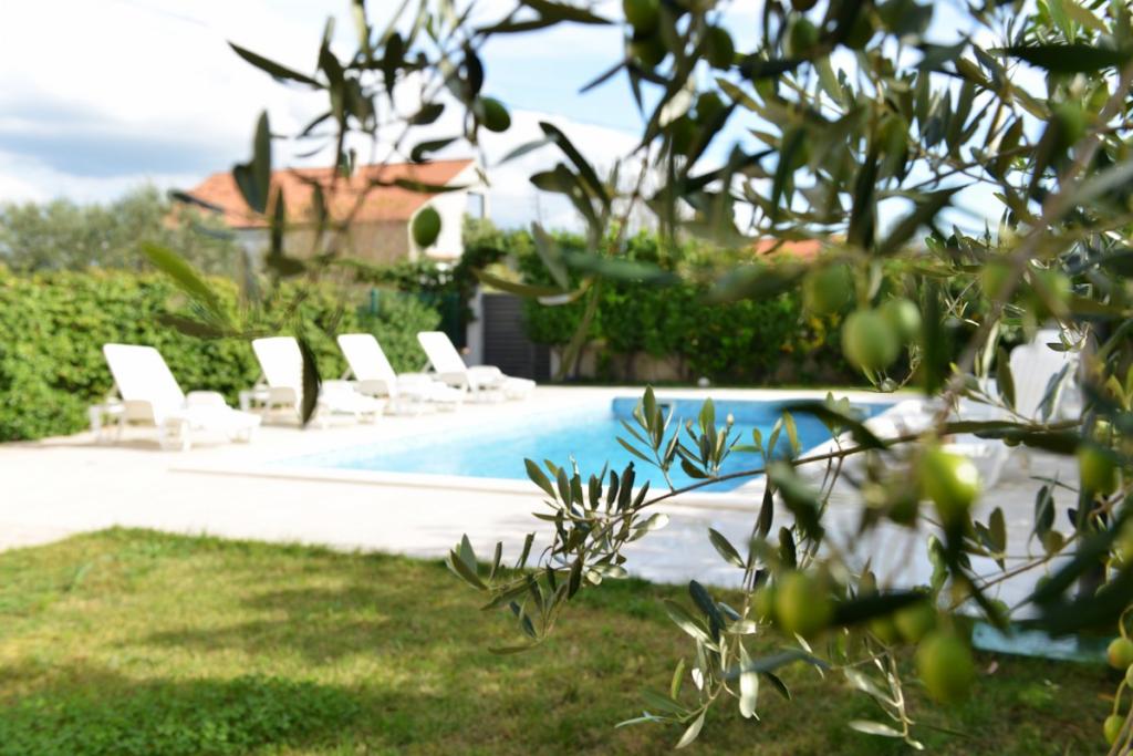 Vila Zvizda – fotografija 6