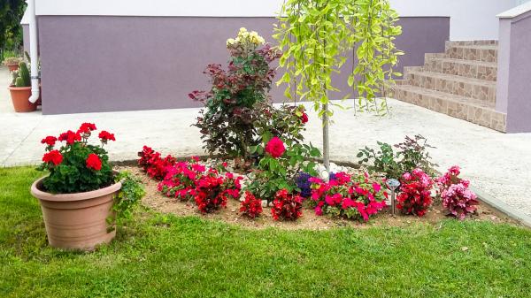 Apartmani Maja Vrsi – fotografija 3