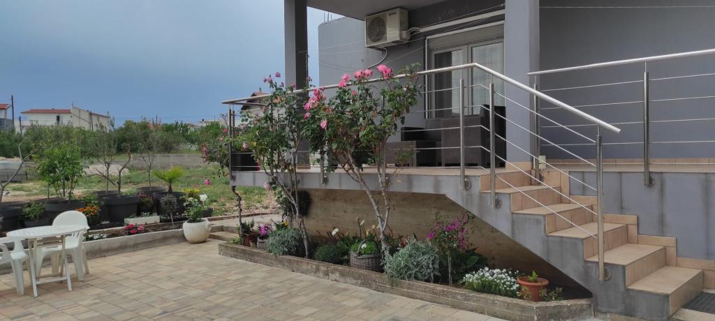 Apartmani As – fotografija 2