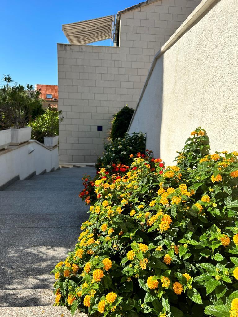 Apartmani Baričević – fotografija 5